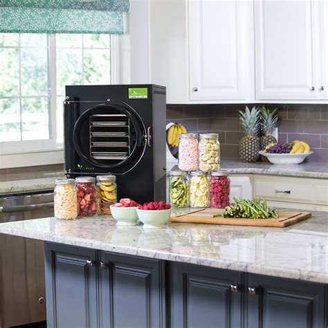 Commercial Freeze Dryers: Essential Guide for Businesses.